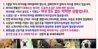 인천 유기견보호소[아지네마을] - 제휴[파트너쉽]  사